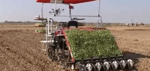 科技农业发力, 以机代人 正成为现实,无人化农机试点万亩农田